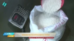 Astarada 500 ton düyü istehsal olunub | Canlı Yayım